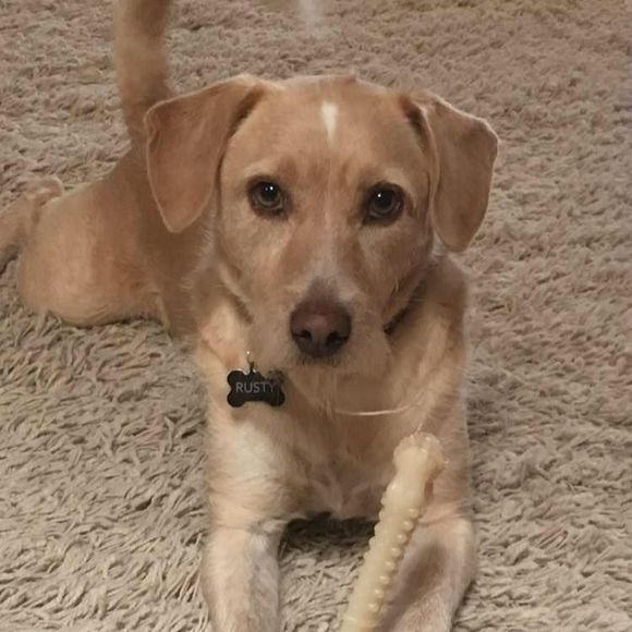 Meet your Posher, Jennifer - Picture 1 of 1